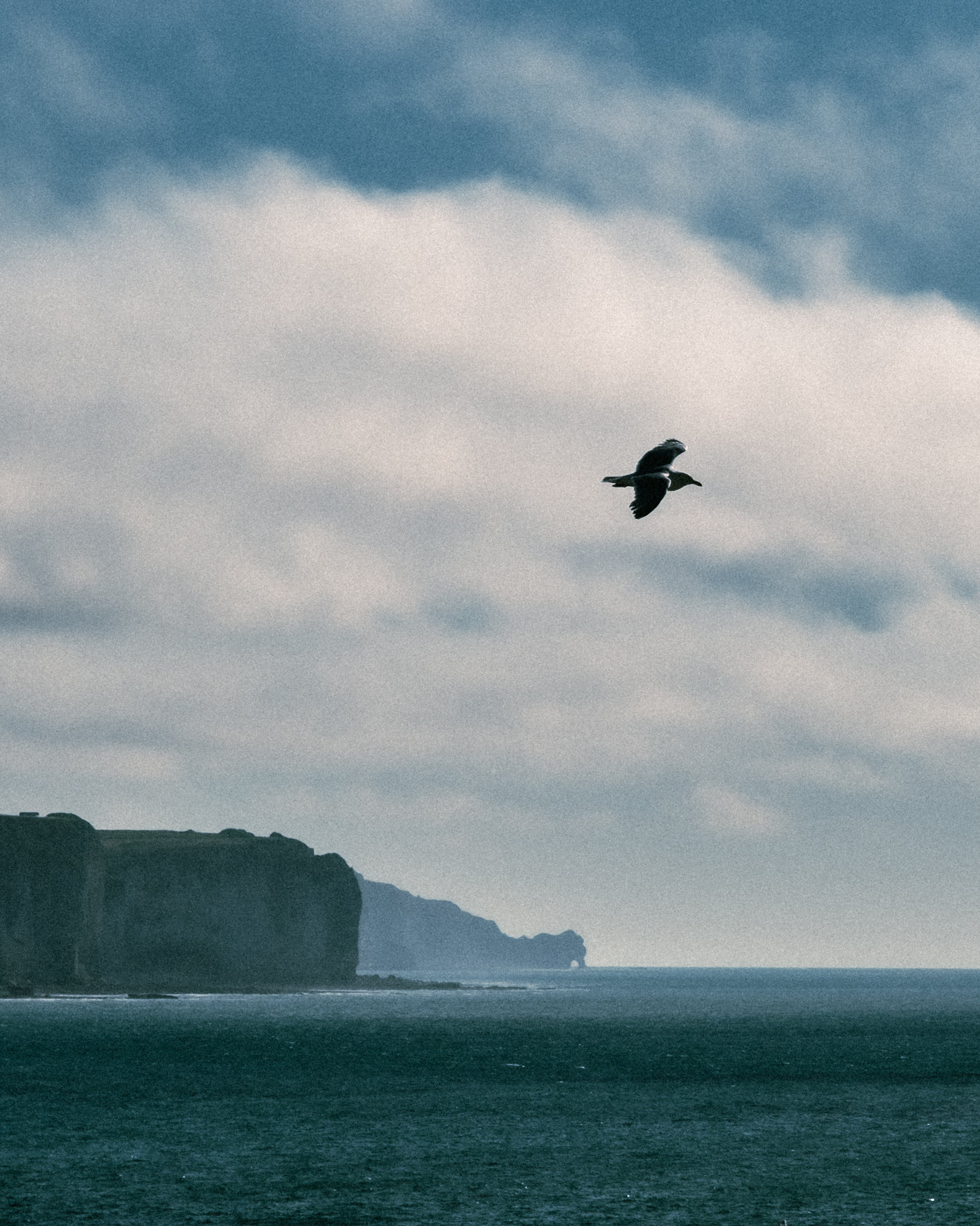 A bird flying above sea cliffs under layered grey clouds.