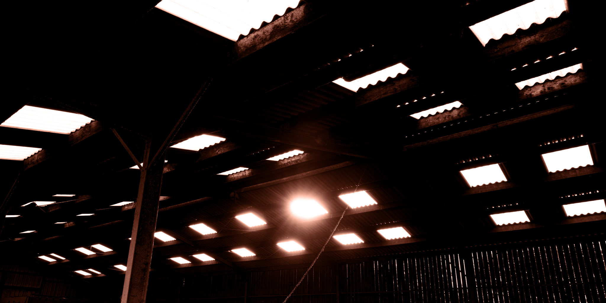 A dark roof crossed by rows of bright rectangular skylights.